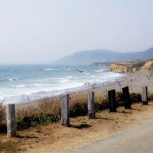 Meet your Posher, Carlyn